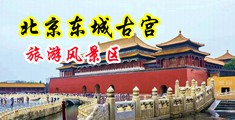 逼免费爆操美女骚中国北京-东城古宫旅游风景区